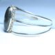 Лабрадор