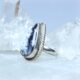 Дендроопал